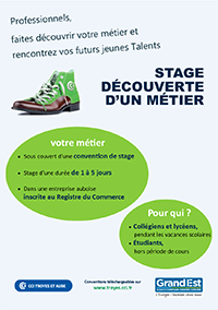 Le stage de découverte professionnelle