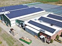 Hausse des coûts de l'énergie : quelle stratégie adopter ?
