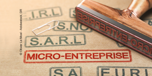 Micro-entreprise